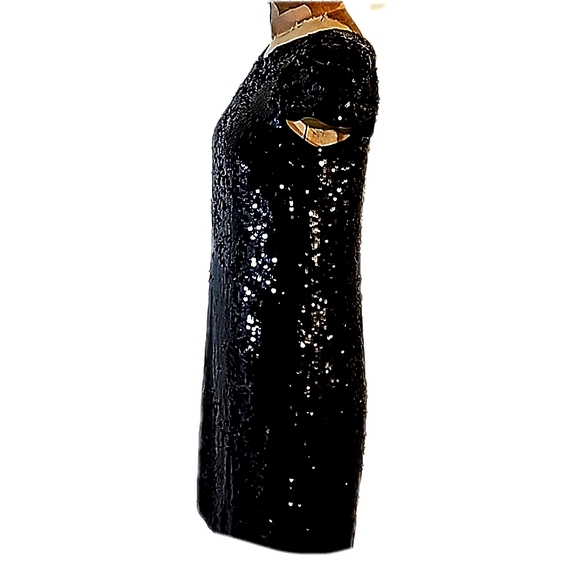 Sequins anyone?   Darling NWT Banana Republic size 4 dress - Picture 3 of 13